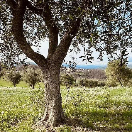 Casa Bozzo, 'fienile' דירה Case Selva Grande